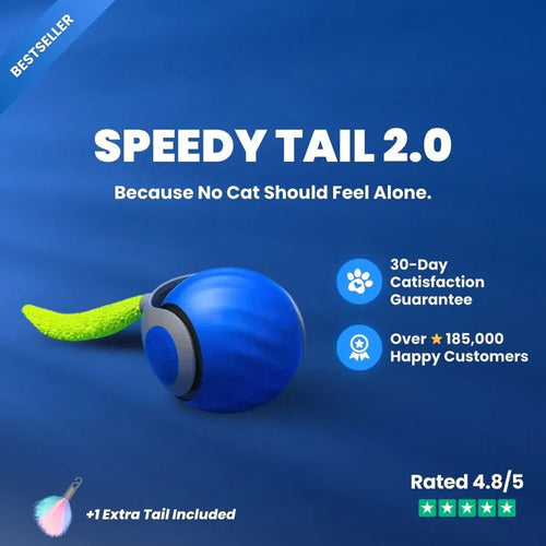 SPEEDY TAIL 2.0