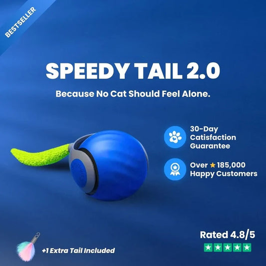 SPEEDY TAIL 2.0